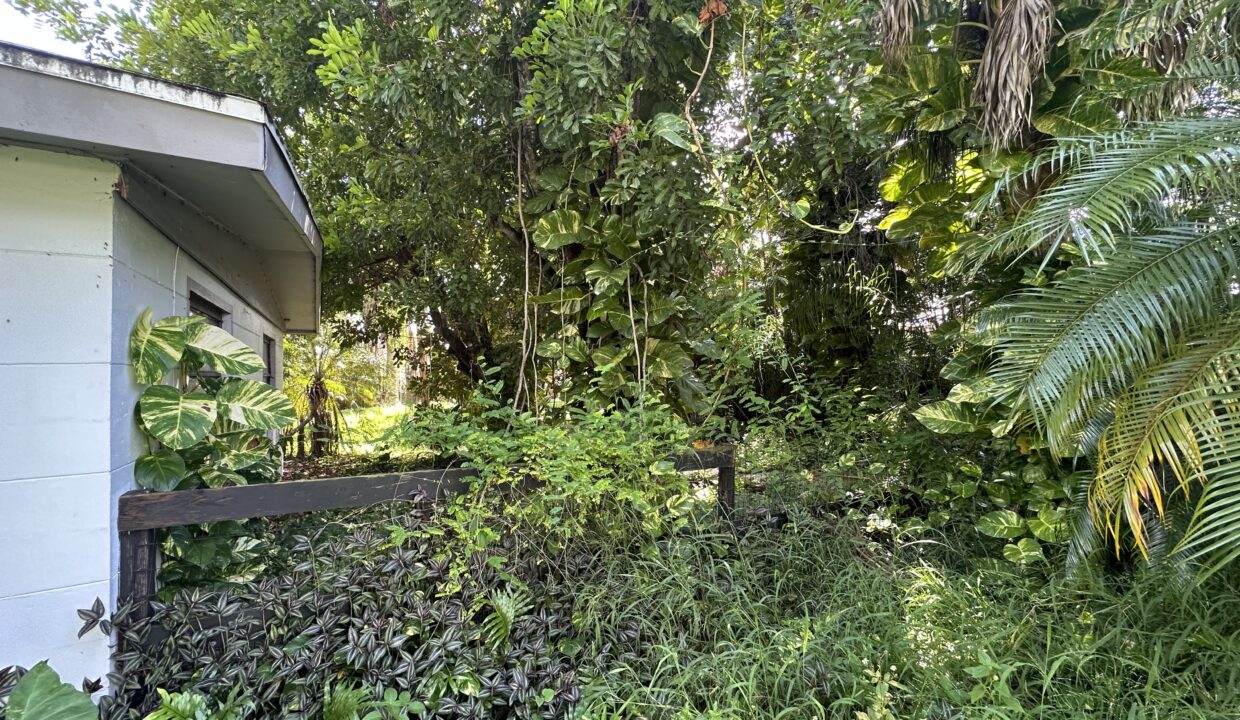 Photo Sep 19 2024, 3 03 13 PM