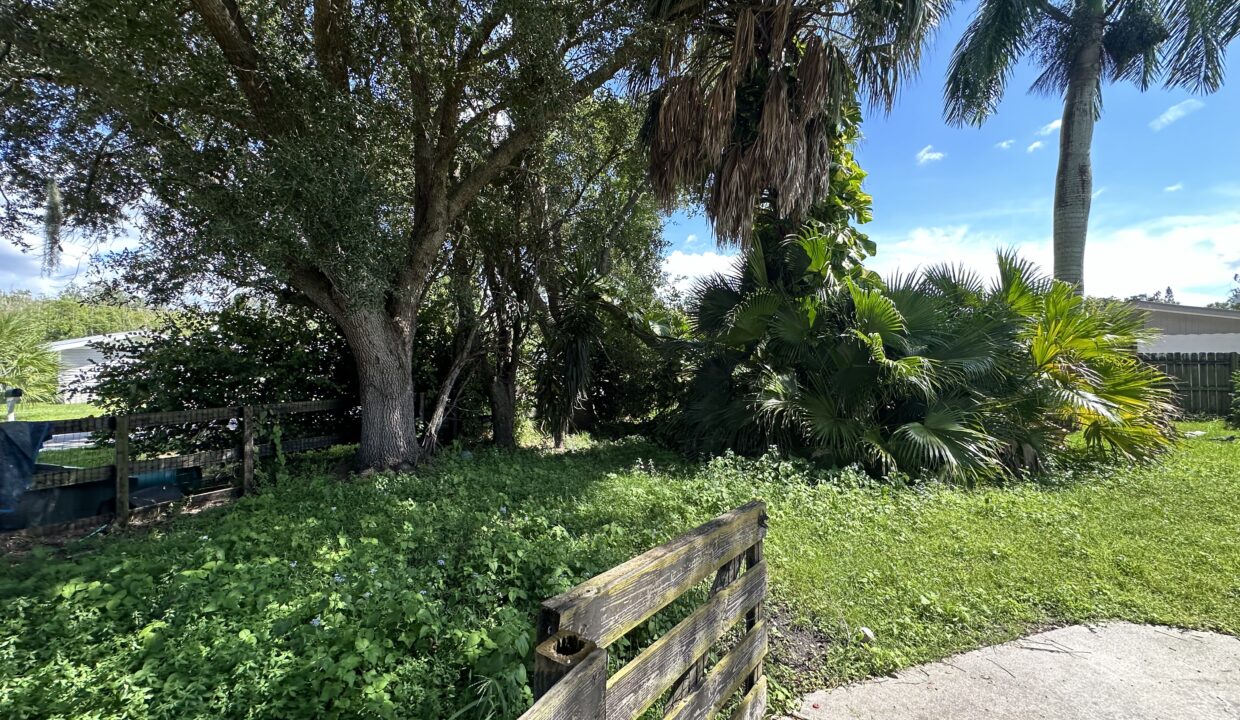 Photo Sep 19 2024, 3 03 45 PM