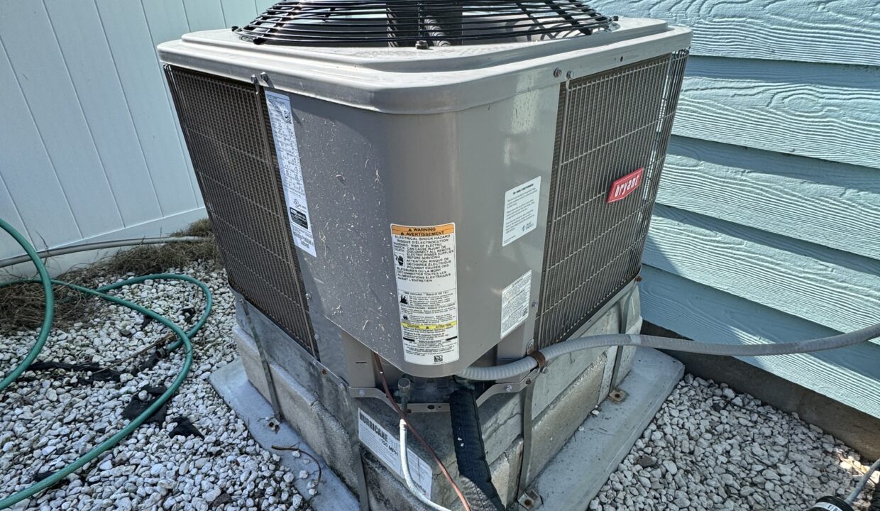 Photo Oct 15 2024, 3 57 59 PM