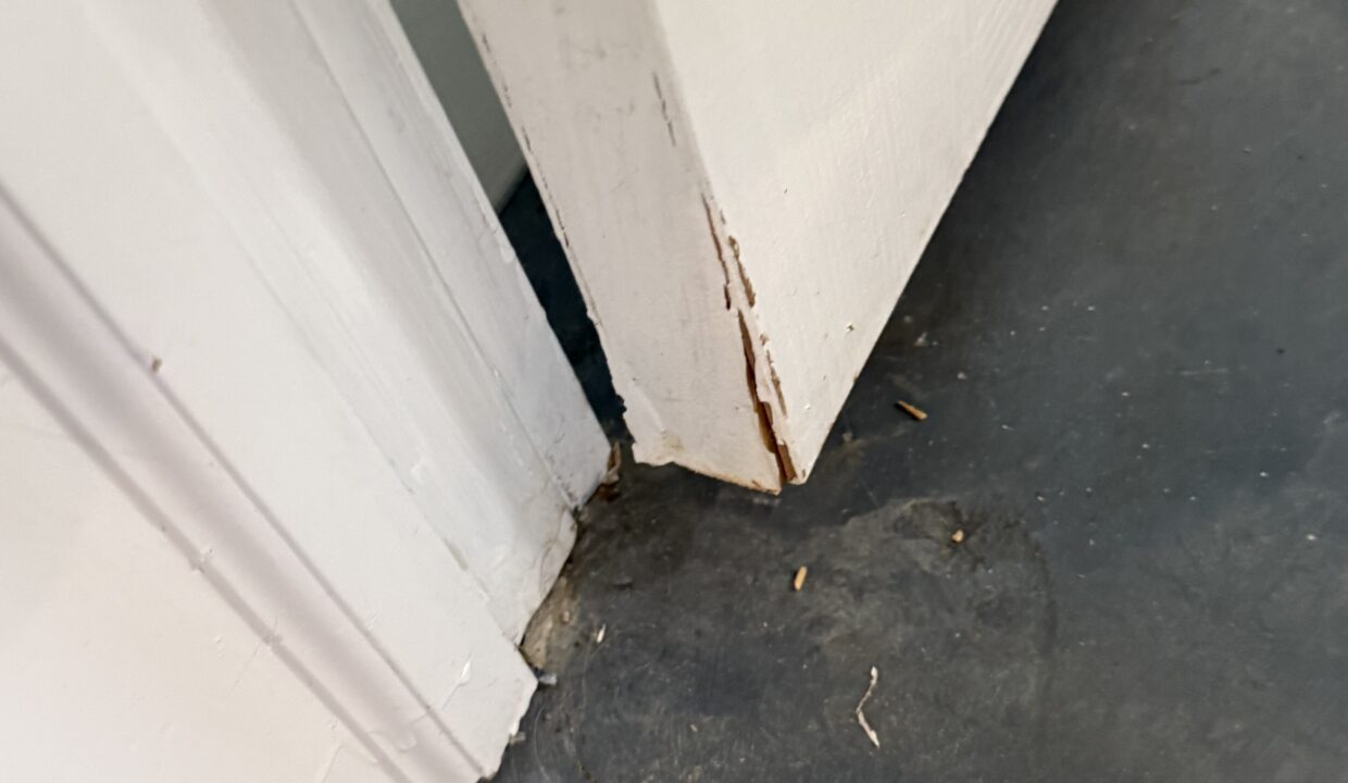 Photo Nov 16 2024, 10 59 18 AM