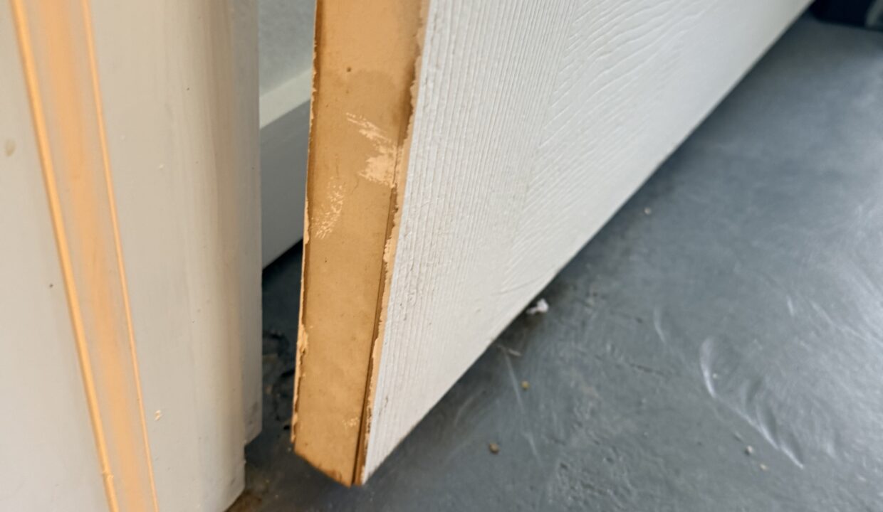 Photo Nov 16 2024, 11 01 34 AM