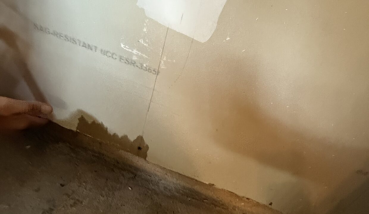 Photo Nov 16 2024, 11 01 59 AM