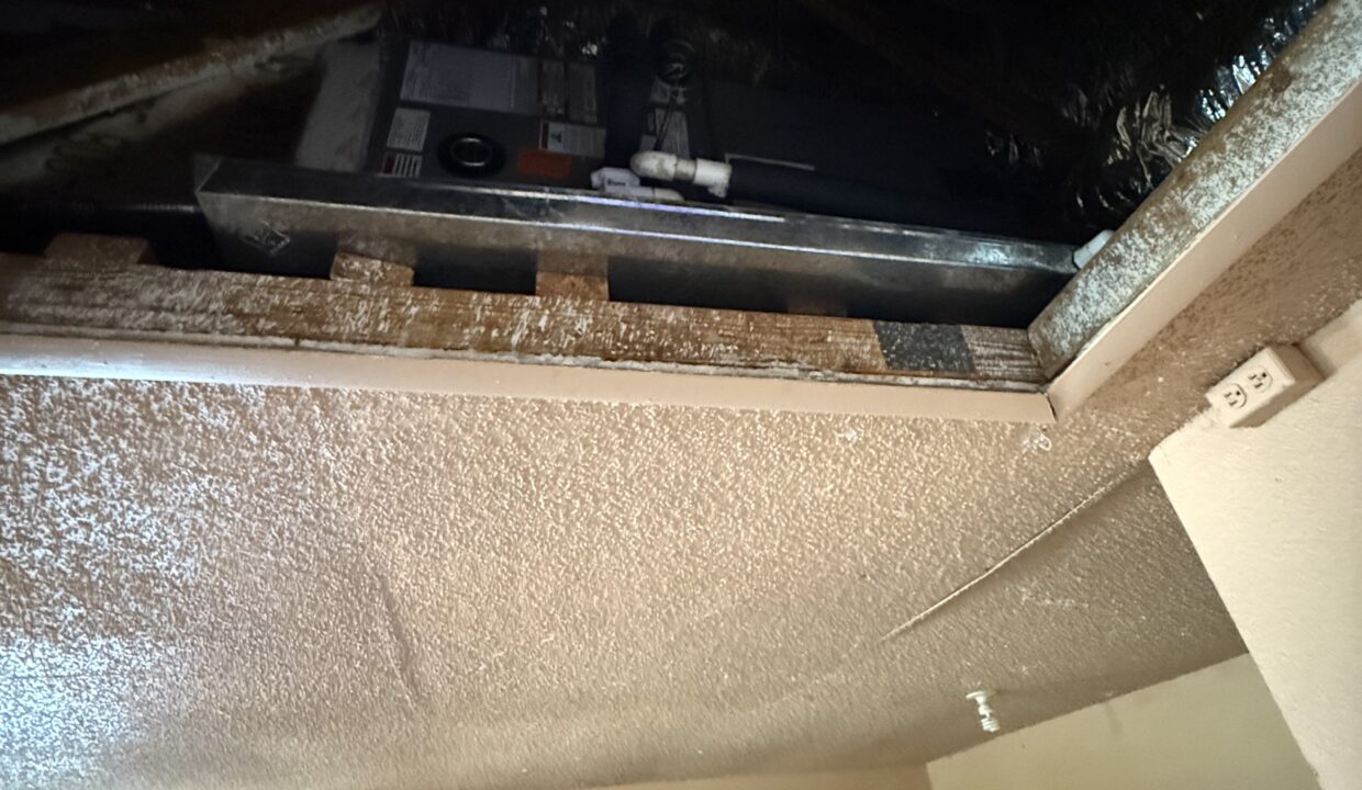 Photo Nov 16 2024, 11 02 39 AM