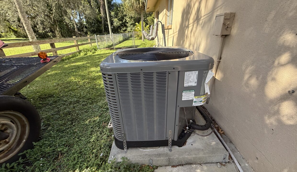 Photo Nov 16 2024, 11 22 04 AM