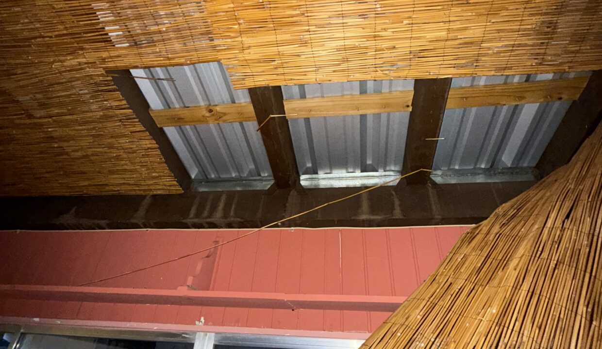 Photo Aug 06 2025, 8 05 33 PM