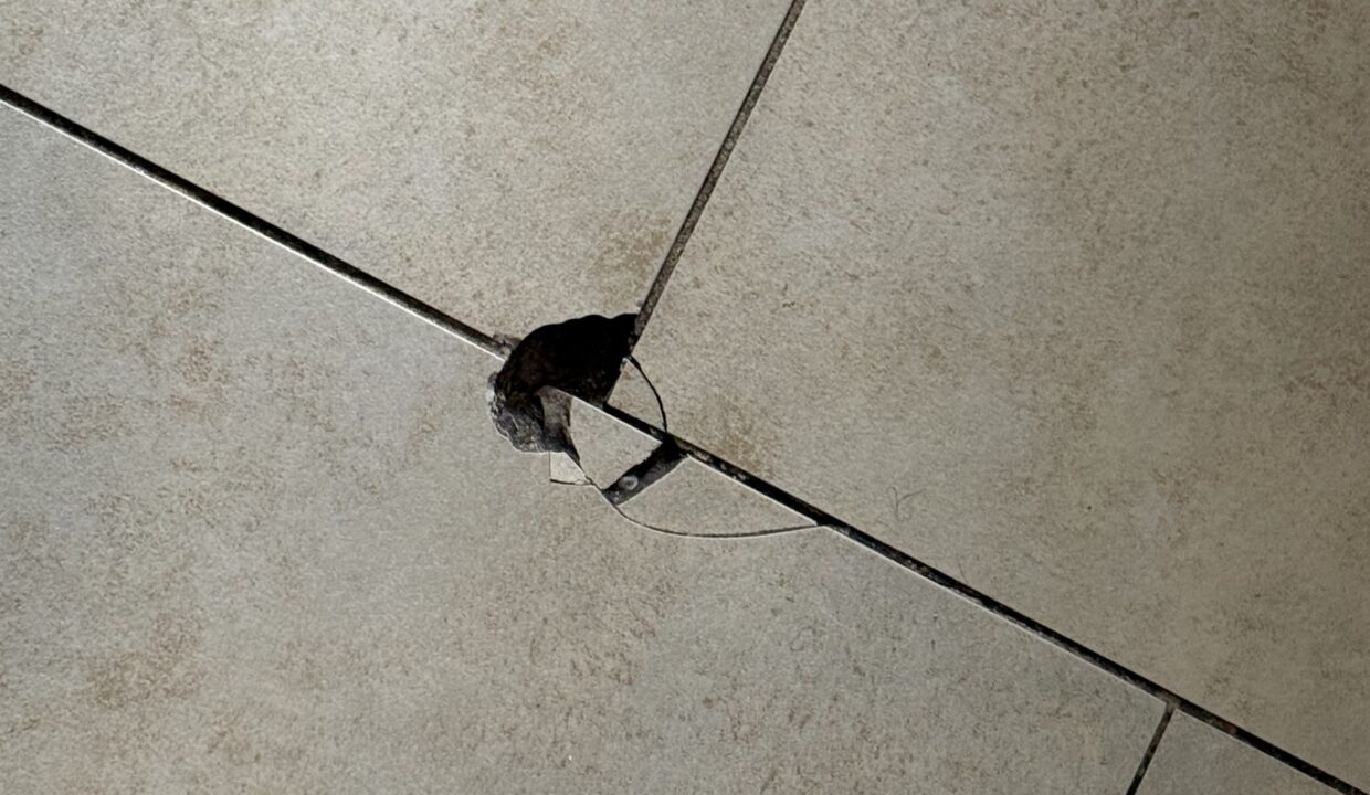 Photo Jul 21 2025, 8 52 43 AM