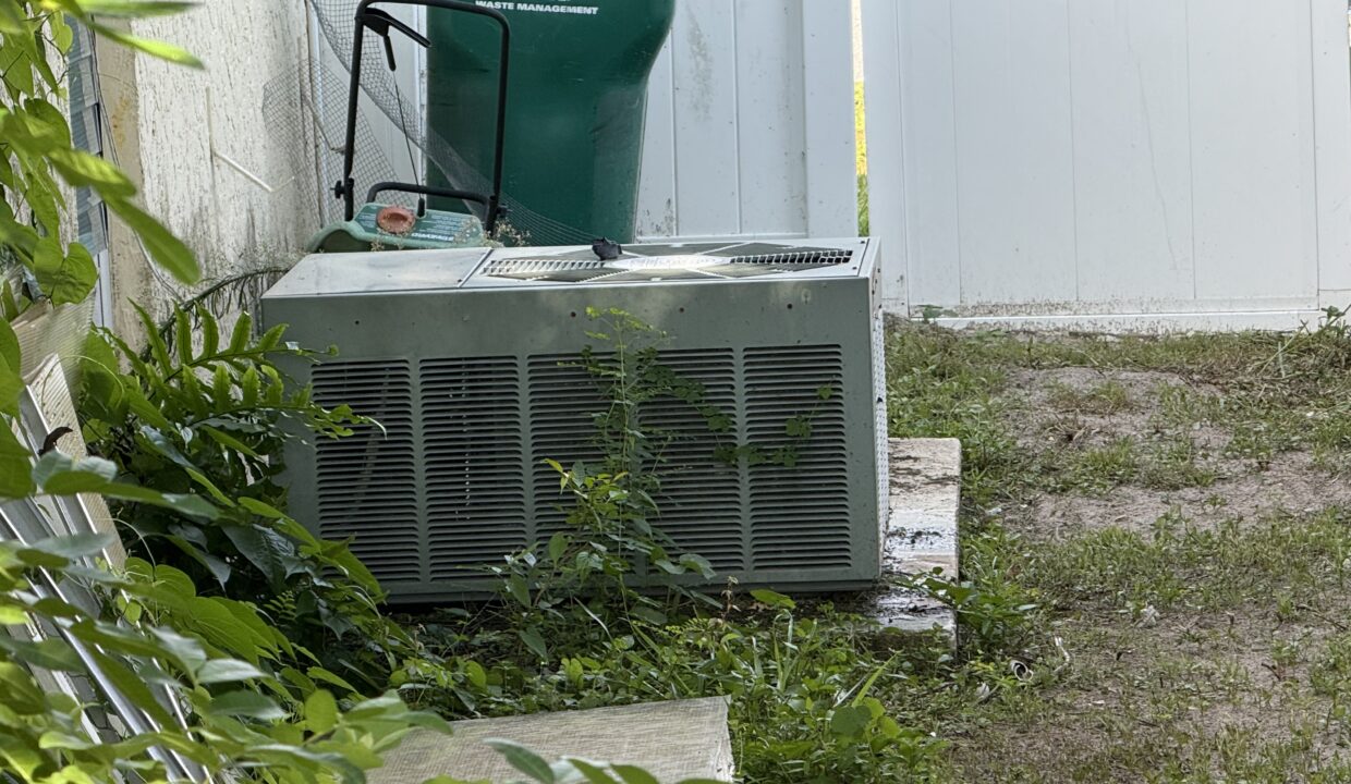 Photo Jul 21 2025, 8 59 41 AM