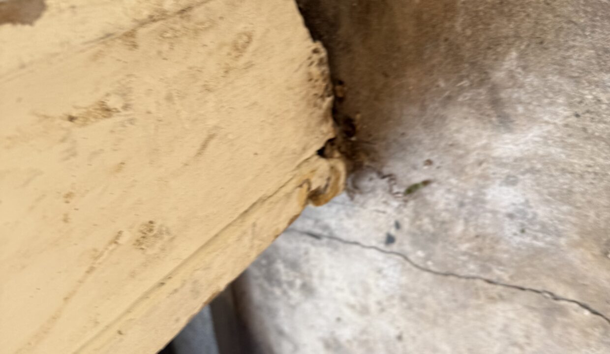 Photo Jul 21 2025, 9 01 06 AM