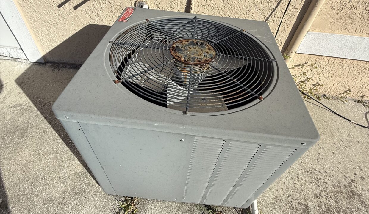 Photo Oct 30 2025, 9 55 55 AM